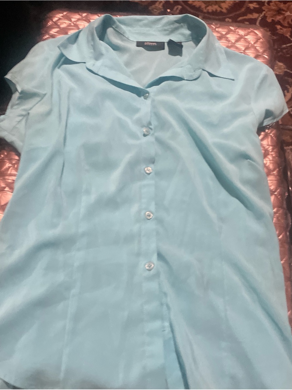 Allison Morgan Mint Blue Button-Front Blouse